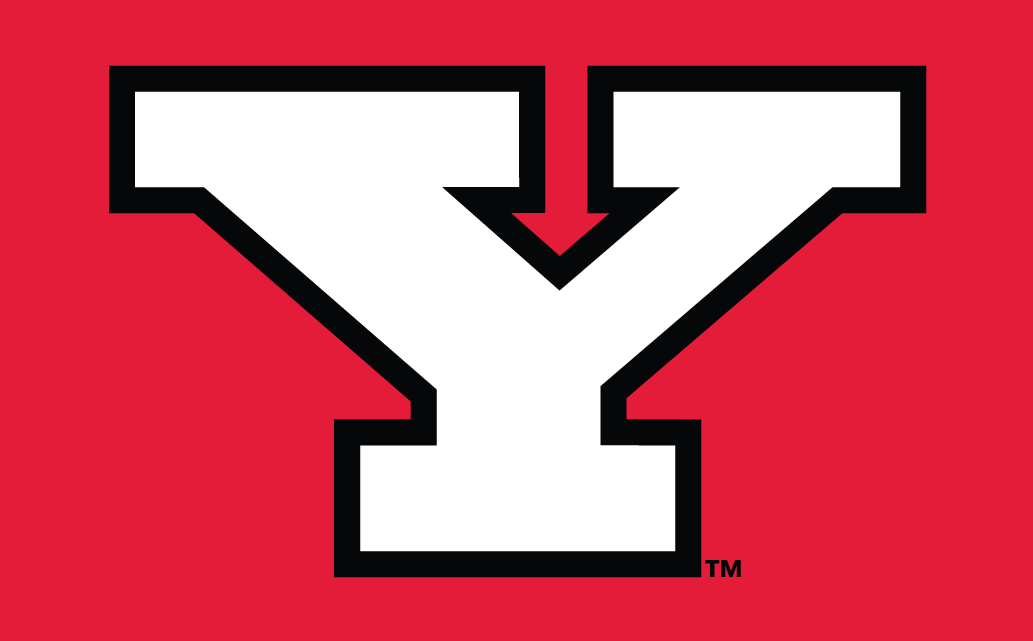 Youngstown State Penguins 1993-Pres Alternate Logo v3 diy fabric transfer